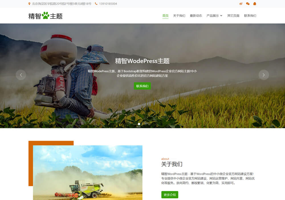 农药WP模板